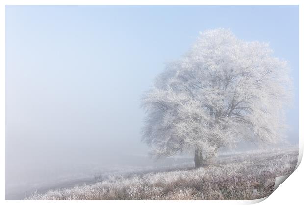 Dunstable Downs in Winter Print by Graham Custance