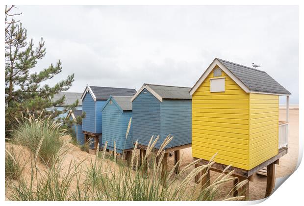 Wells-next-the-Sea Beach Huts  Print by Graham Custance