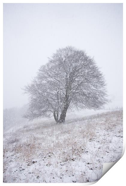 Dunstable Downs in Winter Print by Graham Custance
