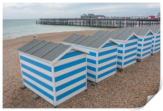 The Charming Hastings Beach Huts Print by Graham Custance