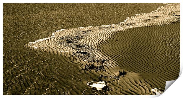 Footprints in the sand Print by Thomas Lynch
