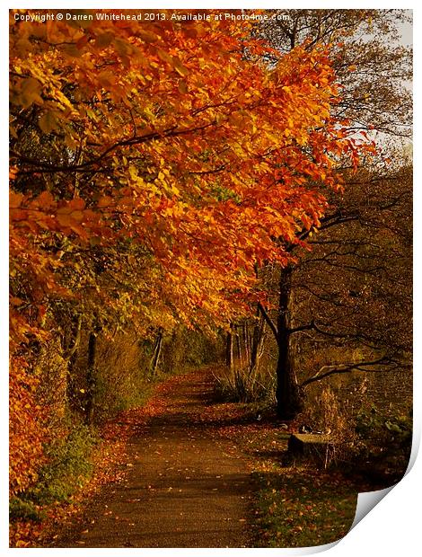 Autumn Walk Print by Darren Whitehead
