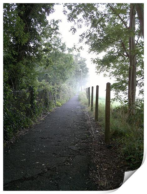 MISTY MORNING PATHWAY Print by mark graham