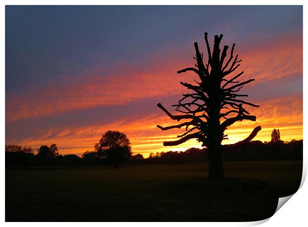 sunset on the field Print by mark graham