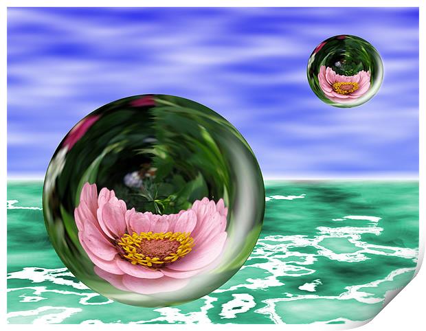 Flower Bubbles Print by Shoshan Photography 