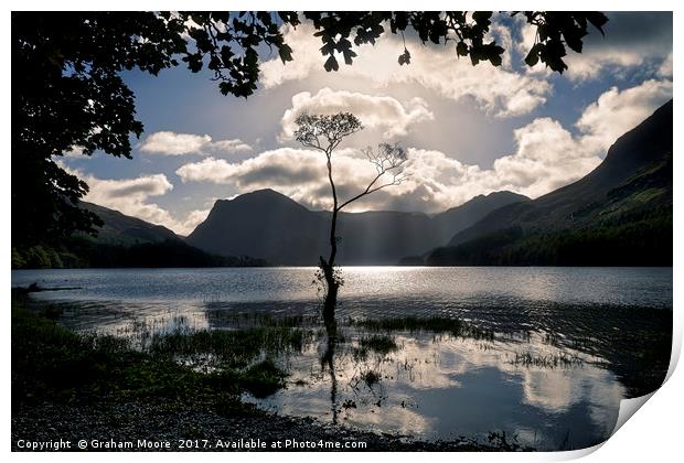 Buttermere tree Print by Graham Moore