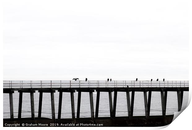 Seabirds on Whitby pier Print by Graham Moore