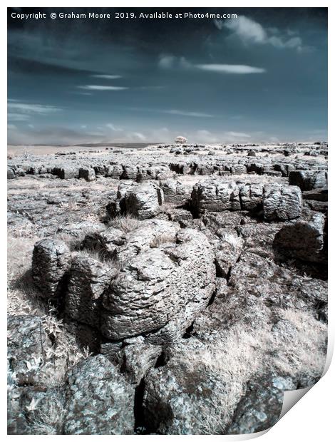 Limestone pavement and lone tree infrared Print by Graham Moore