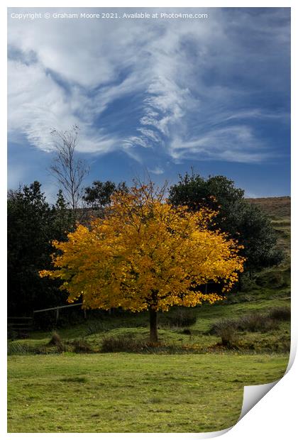 Autumn tree and wispy clouds Print by Graham Moore