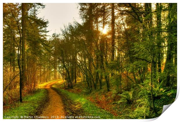 Path to the light Print by Martin Chambers