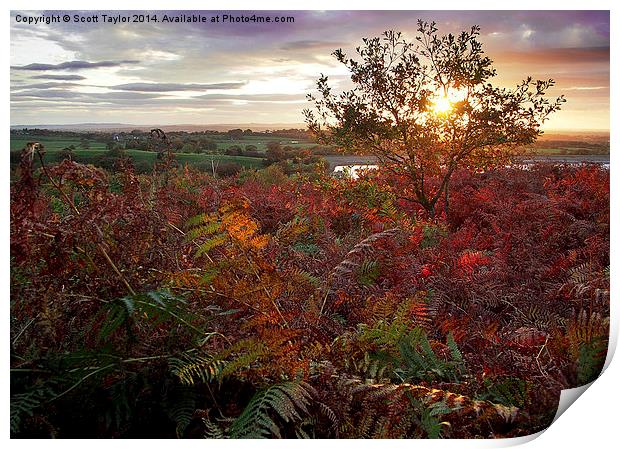  Autumn at Anglezarke Print by Scott Taylor