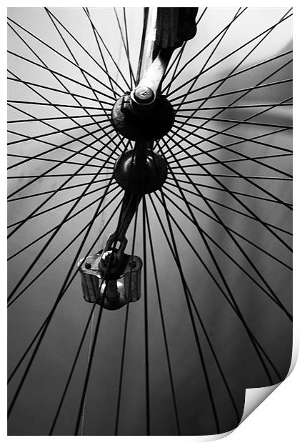 A Bicycle Print by HASSAN  NEZAMIAN