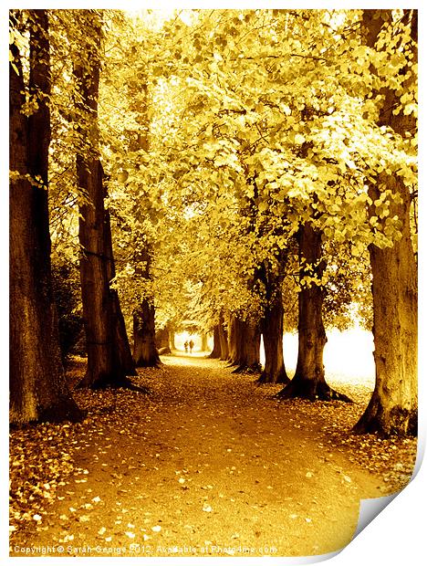 Autumn Stroll Print by Sarah George