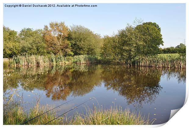 blue skies and reeds Print by Daniel Duchacek