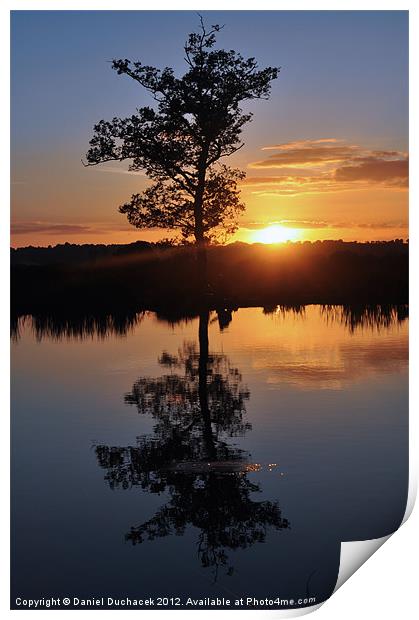 sunset and tree reflection Print by Daniel Duchacek