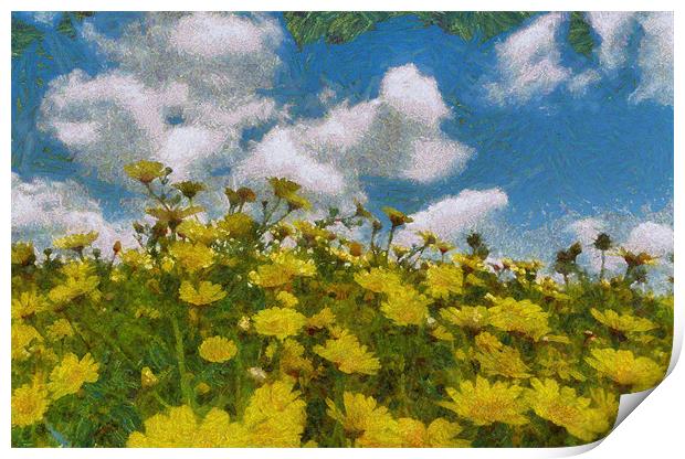 Tansy Blooms Print by Michael Goyberg