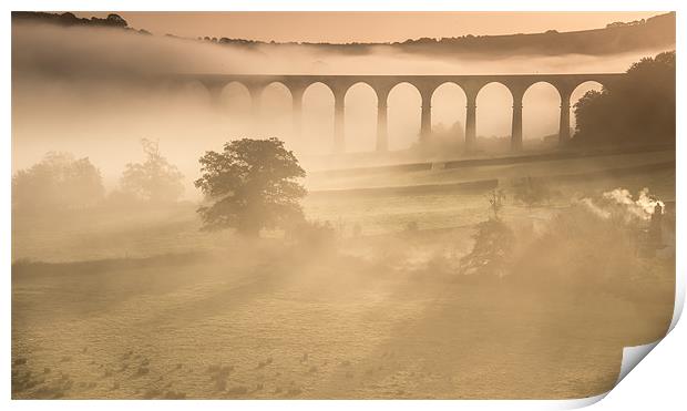 Autumnal morning, Calstock Viaduct Print by nigel allison