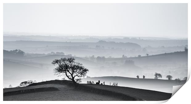 Devon hillscape in black and white Print by nigel allison