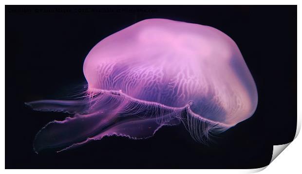 Neon Pink Jellyfish Print by Karen Magee