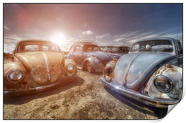 Bugs in the Sun Print by Jason Green