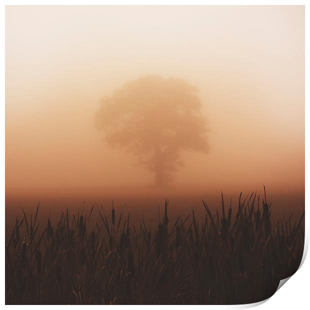  Misty Morning Print by andrew bagley