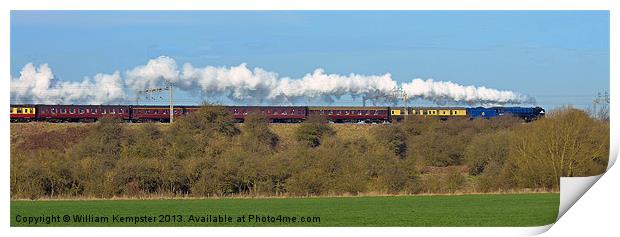 The Cathedrals Express Print by William Kempster