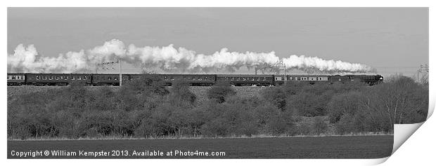 The Cathedrals Express B&W Print by William Kempster