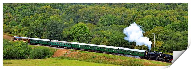 Swanage Railway Steam Gala 2013 Print by William Kempster