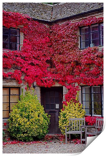 Ivy Cottage Print by Scott  Paul