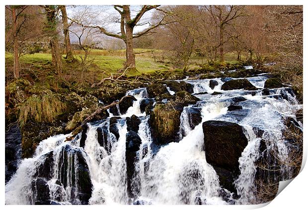 Swallow Falls Print by Scott  Paul