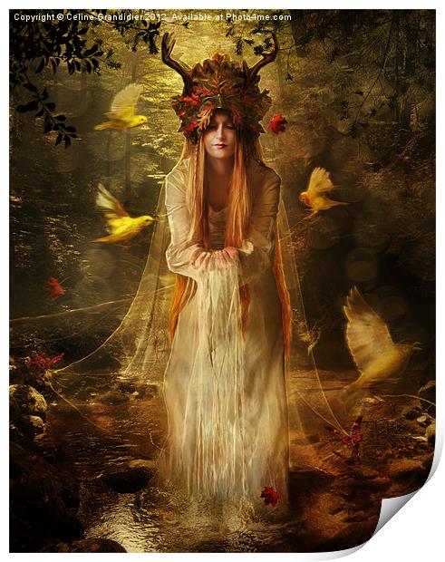 Lady of the Forest Print by Celine B.