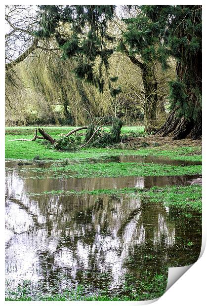 Marshland Print by Laura Witherden