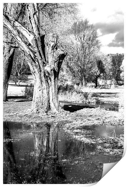 Monochrome Reflection Print by Laura Witherden