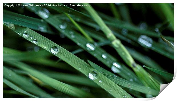 Rain Drops Print by Laura Witherden