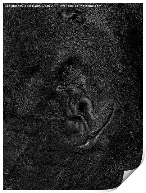 The Smiling Gorilla Print by Abdul Kadir Audah