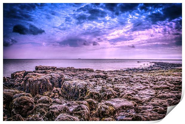 Isle of Wight Looking for fossils Print by stewart oakes