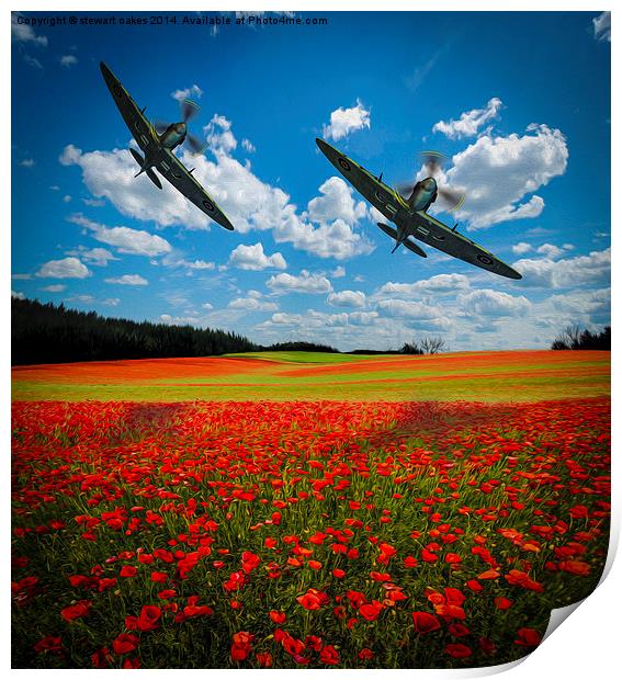 Spitfires Tribute Poppy Flypast Oil Painting Print by stewart oakes