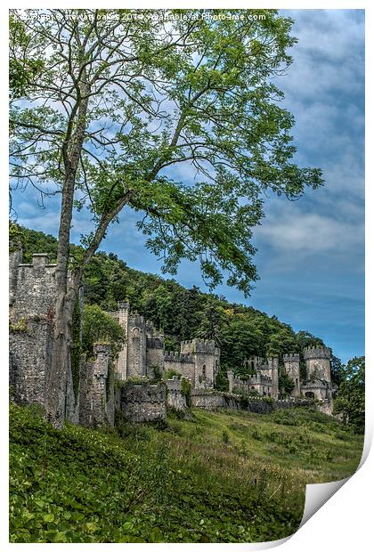 Gwrych Castle Collection 4 Print by stewart oakes