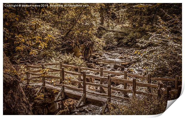 Path to Aber Falls 7 Print by stewart oakes