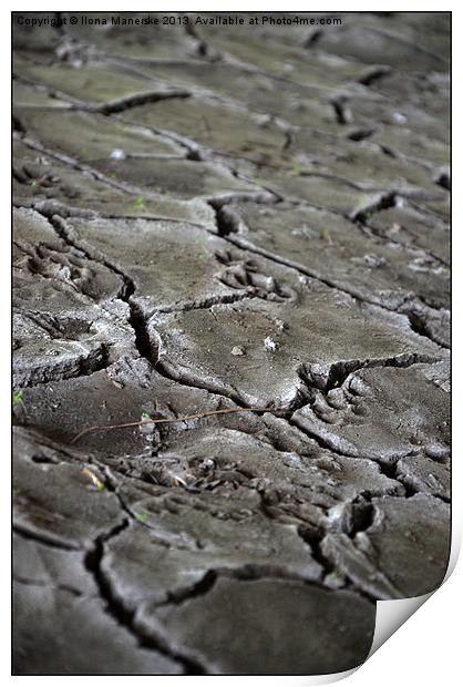cracked earth under the bridge Print by Ilona Manerske