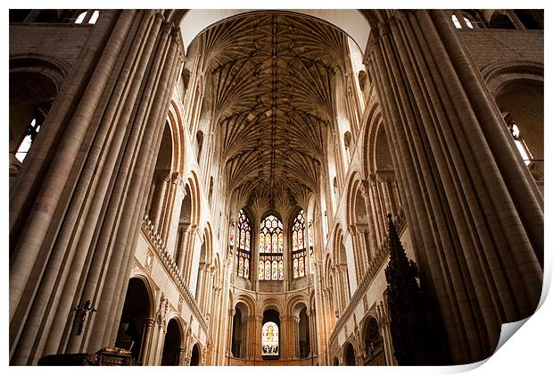Cathedral Ceiling Print by Howie Marsh