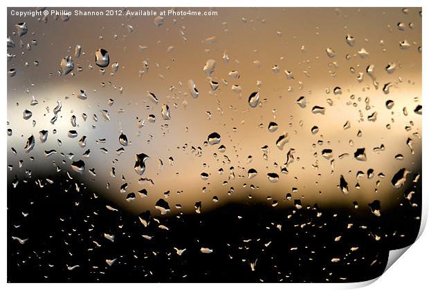 Rain drops 02 Print by Phillip Shannon