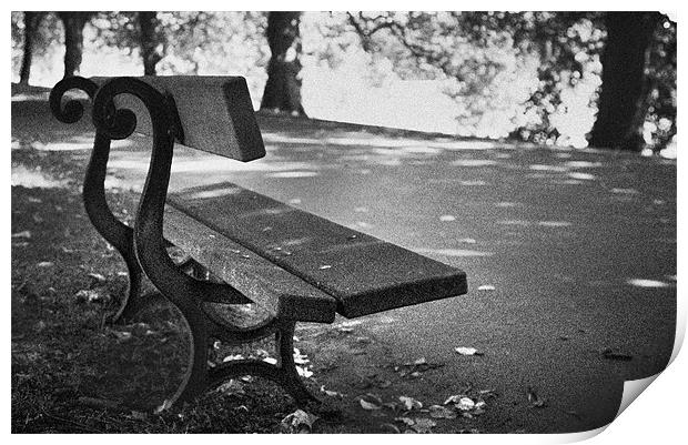 Lonely seat in park Print by Phillip Shannon