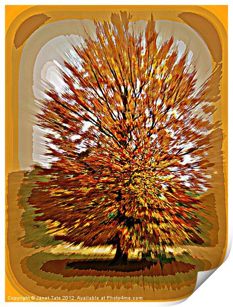 Autumn Poster Print by Janet Tate