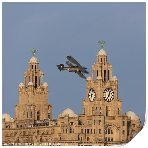 Swordfish flying past the Liver Building Print by Paul Madden