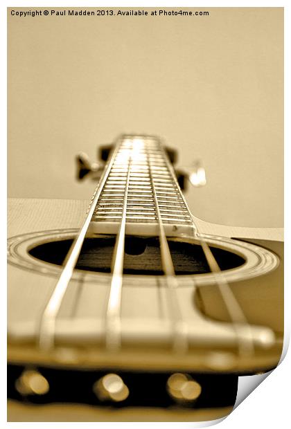 Acoustic bass Print by Paul Madden