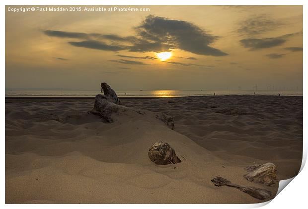 Driftwood in the sand Print by Paul Madden