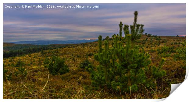 Moel Famau at dusk Print by Paul Madden