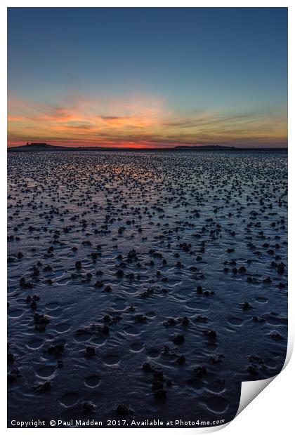 Sunset across the wet sand Print by Paul Madden