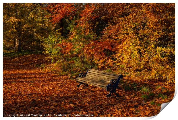 Park bench in Autumn Print by Paul Madden